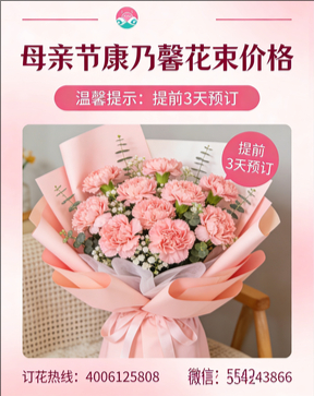 延边汪清县花店母亲节康乃馨花束