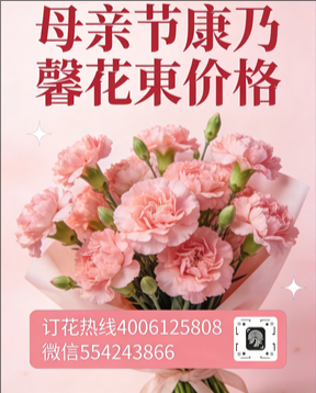 延边汪清县花店母亲节康乃馨花束